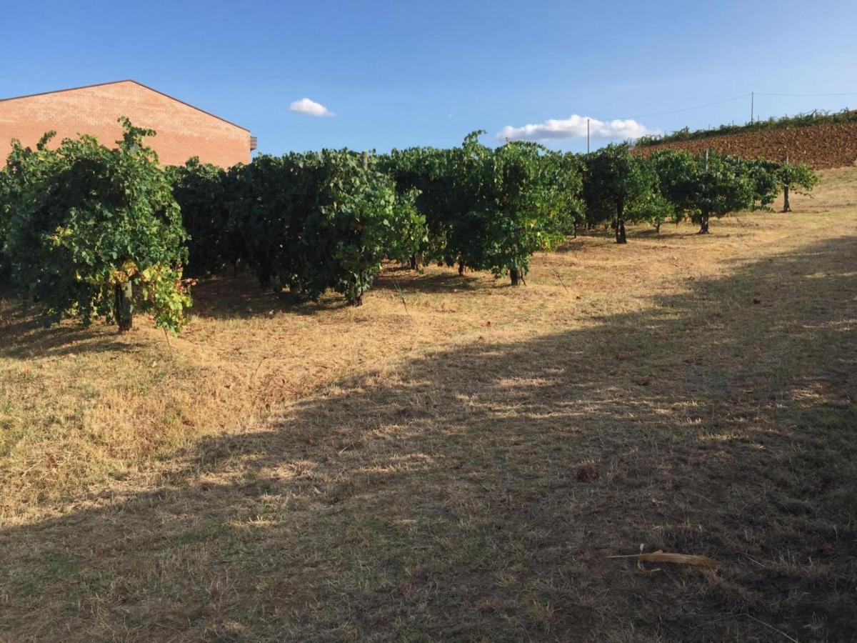 Affittacamere Maranello Locanda Moca Il Poggio Exterior foto